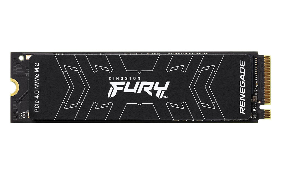 kingston fury renegate